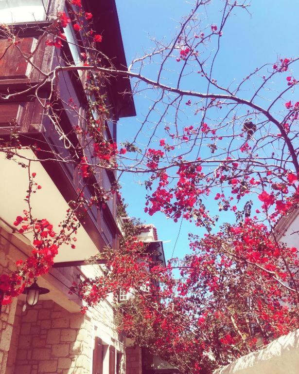 Alayaz Hotel Alaçatı Exterior foto